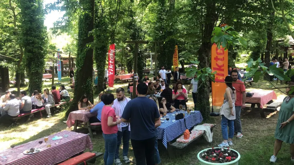 Şirket Piknikleri